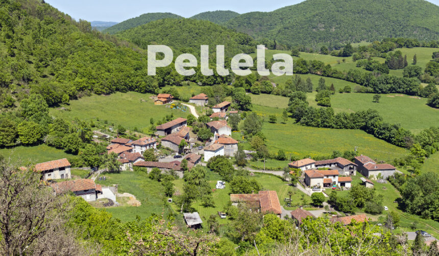 Pellela
