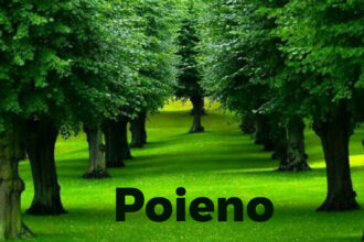 Poieno