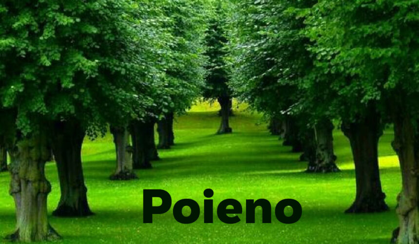 Poieno